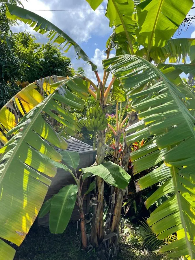 Villa Sol Y Luna, Martinique, Sainte Luce 0*, Sainte-Luce